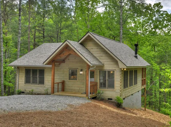 27 Baylor Dr, Cherry Log, GA 30522