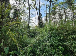 Niihau Rd LOT 189, Pahoa, HI 96778