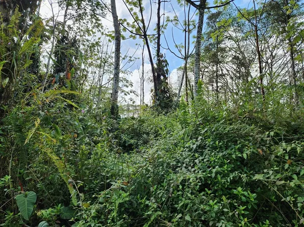 Niihau Rd Lot 189, Pahoa, HI 96778