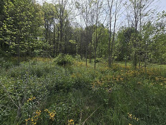 4th image of Cemetery Rd