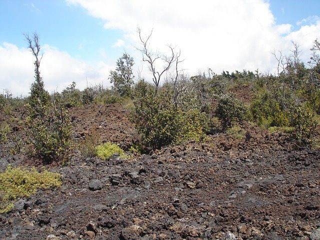 2nd image of Sea Breeze Pkwy Lot 32