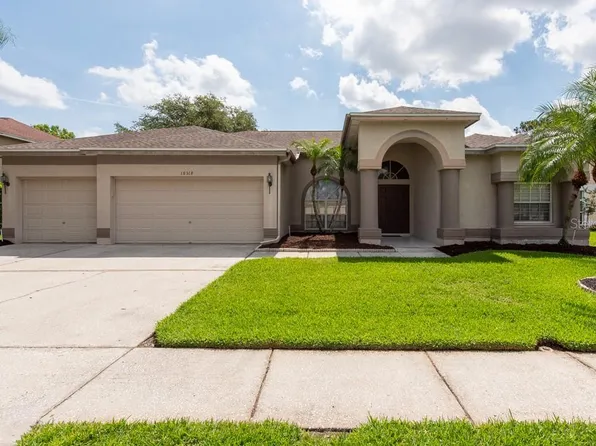 18518 Bittern Ave, Lutz, FL 33558