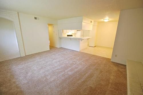 Large & Roomy