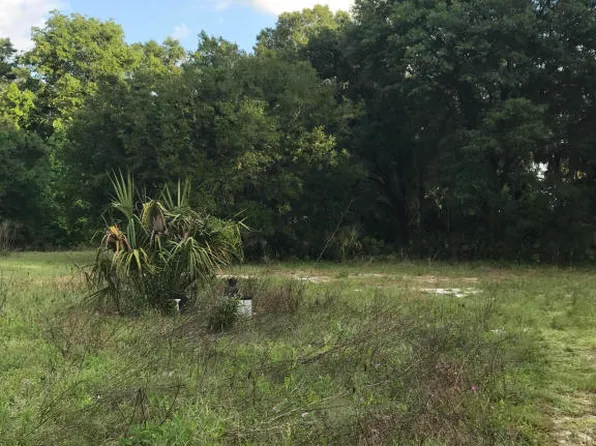 4811 E Highway 316, Citra, FL 32113