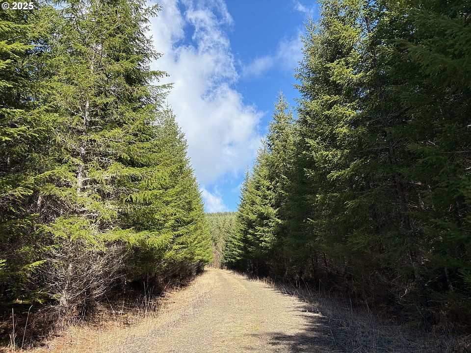 1st image of 0 Boiler Creek Rd