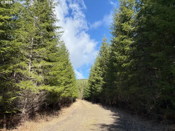 0 Boiler Creek Rd, Springfield, OR 97478