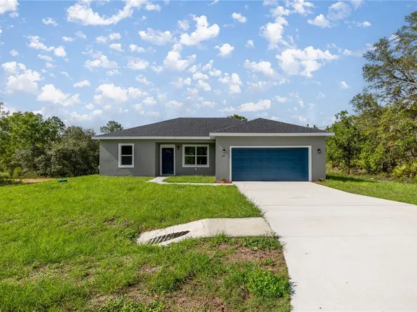 142 Guava Pass, Ocklawaha, FL 32179