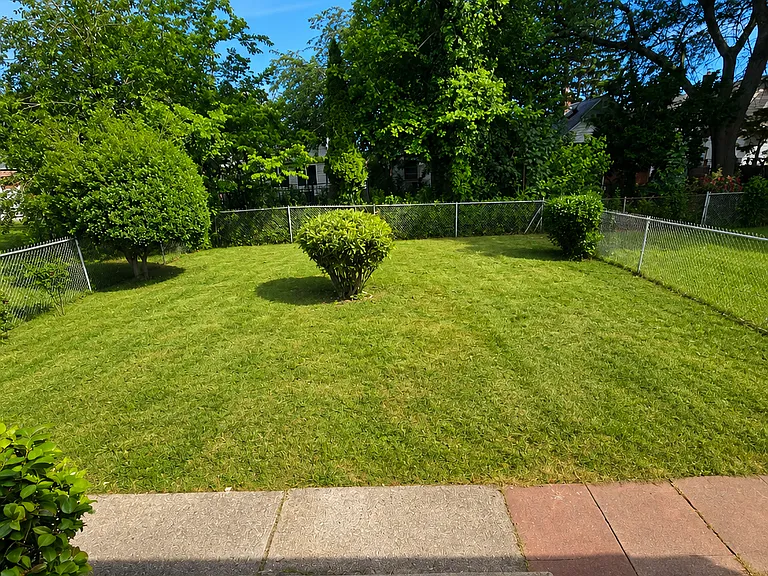 8 Albert Pl — Photo 2