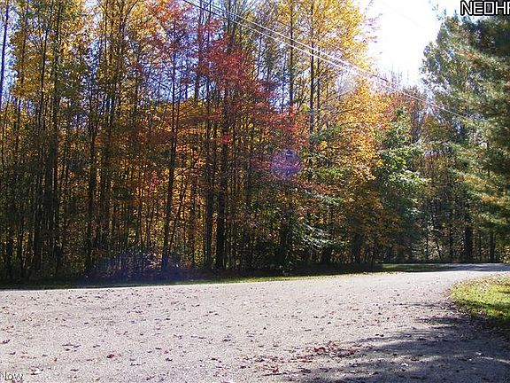 4th image of 2328 Plum Point N