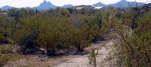 1st image of 21415 W El Grande Trail -- #125