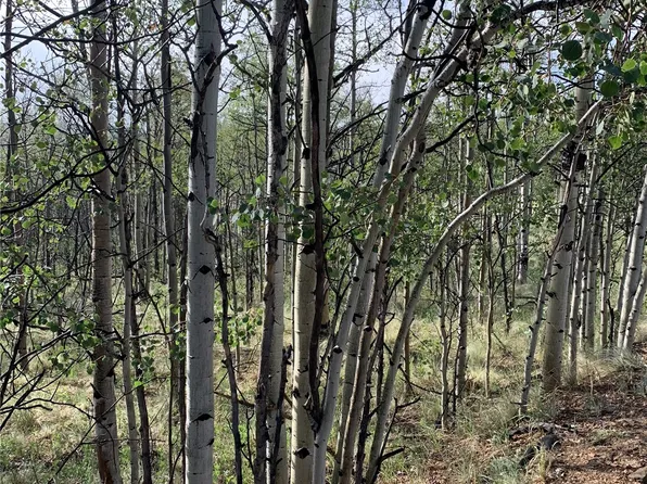 540 Vulture Lane, Como, CO 80432