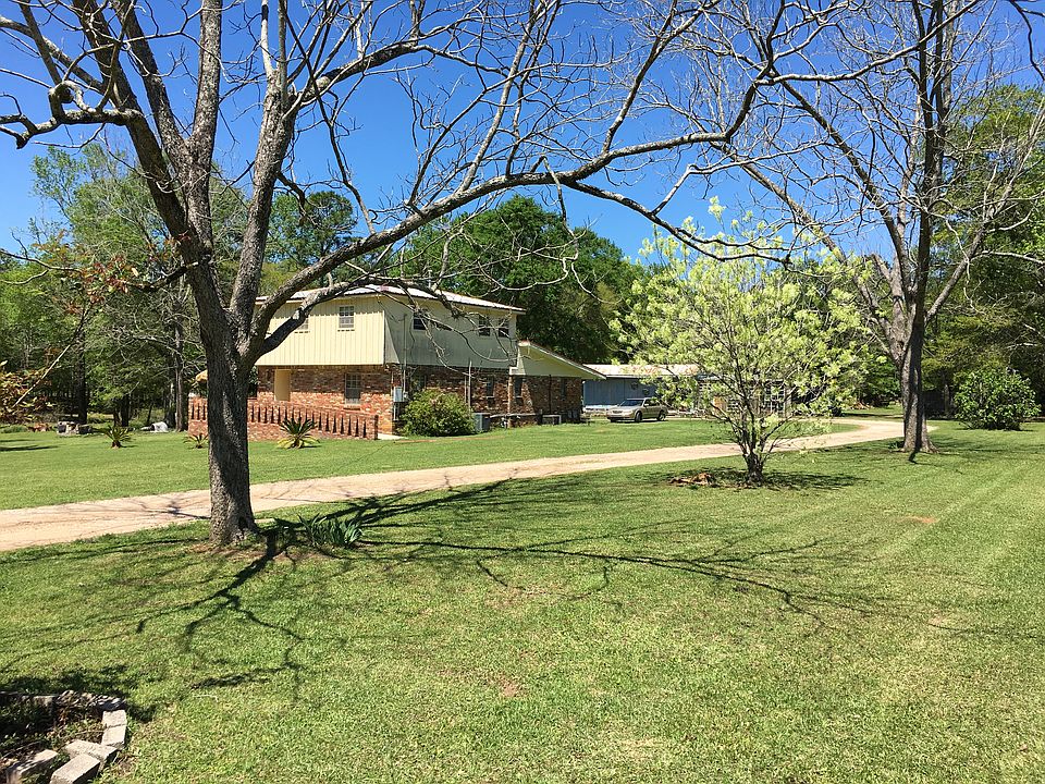 Frond View with Fringe Tree
