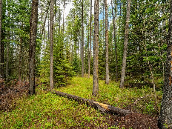 4th image of 50 Giefer Creek Rd
