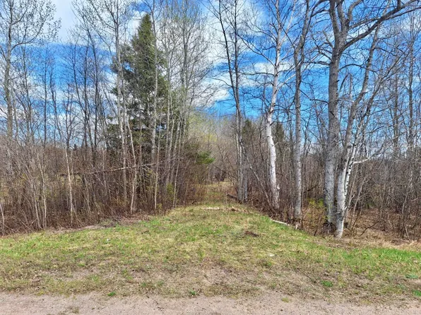 S Piche Rd, Brimley, MI 49715