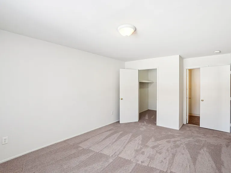 Venoy Pines — Photo 15