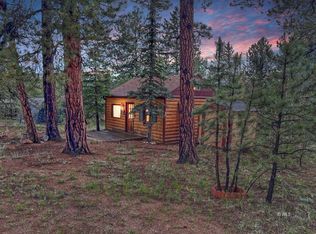 231 Buffum St, Bailey, CO 80421