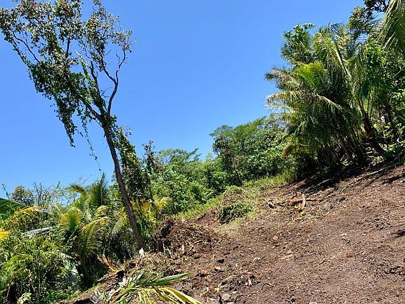 2nd image of Kamoamoa St Lot 250