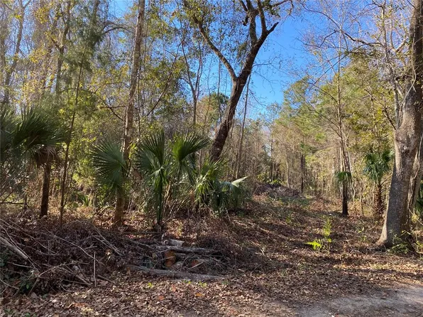 0 NW Highway 320, Micanopy, FL 32667