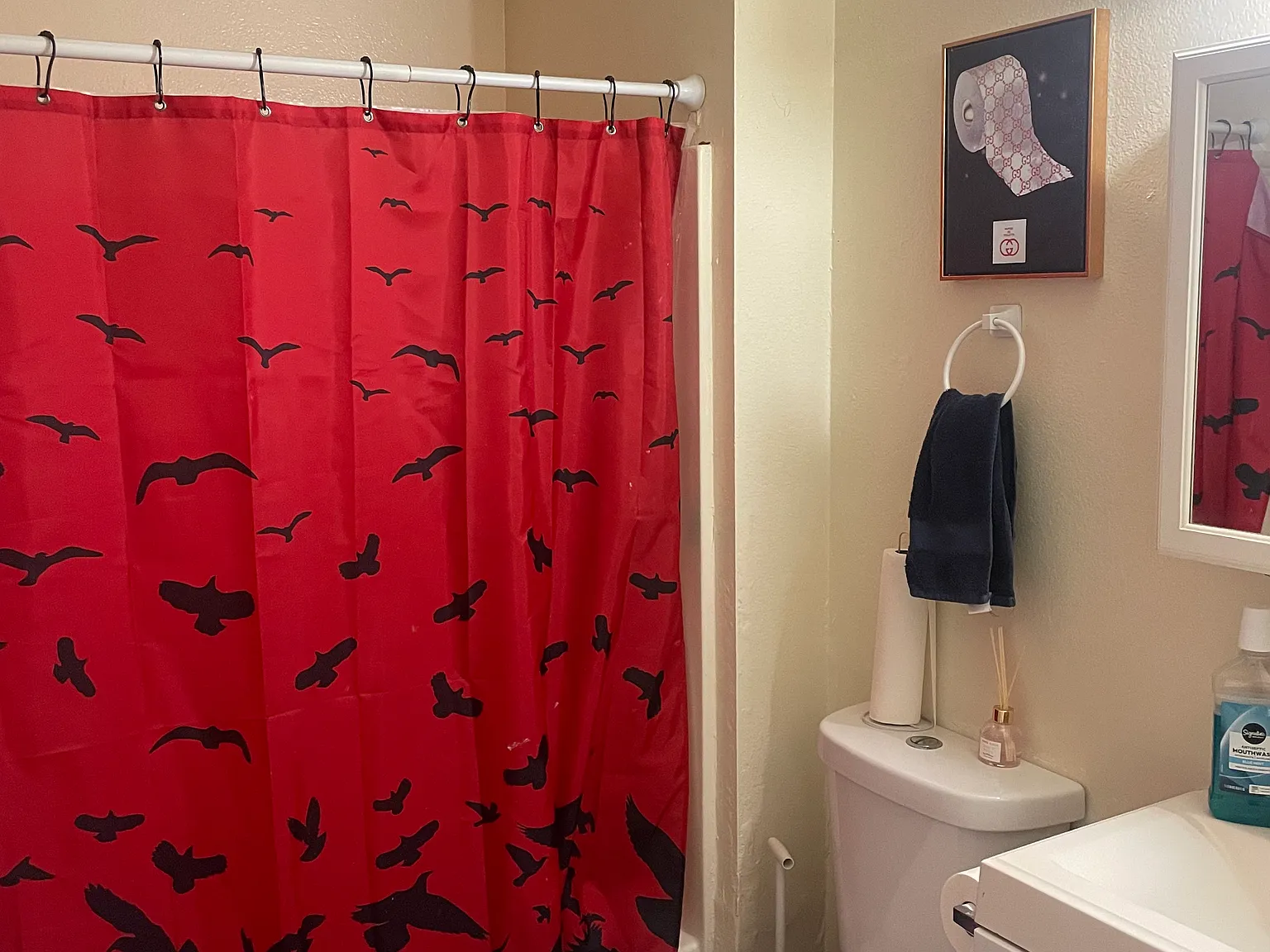517 Olive St — Photo 4