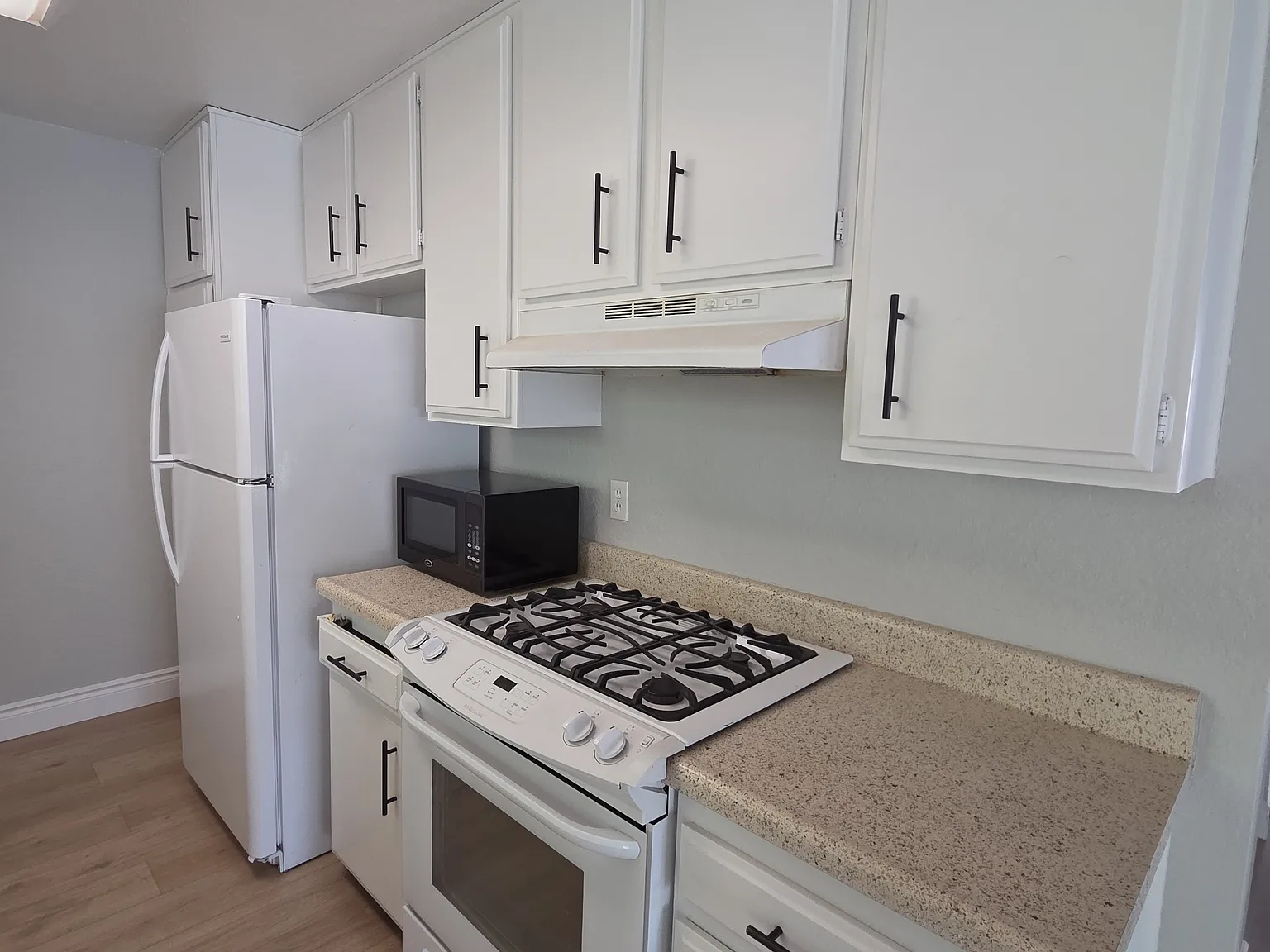 3 bed, 1350 sqft, $2,395 — Photo 4