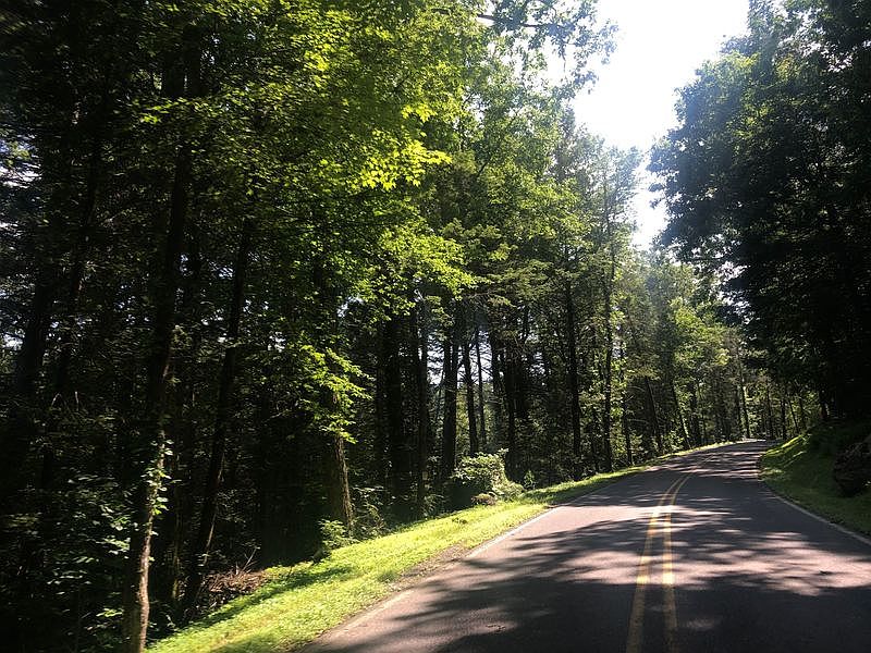2nd image of 336 Sylvan Cascade Rd
