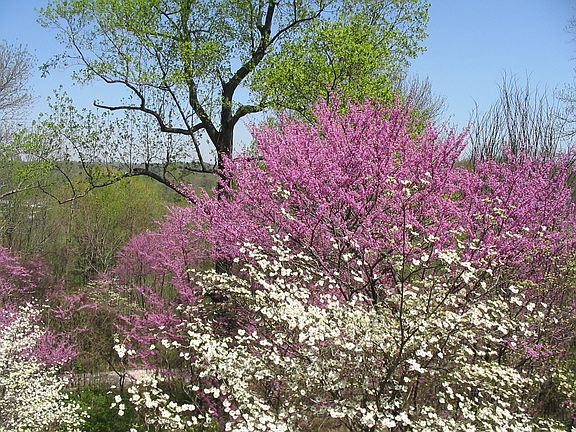 From master bedroom balcony
