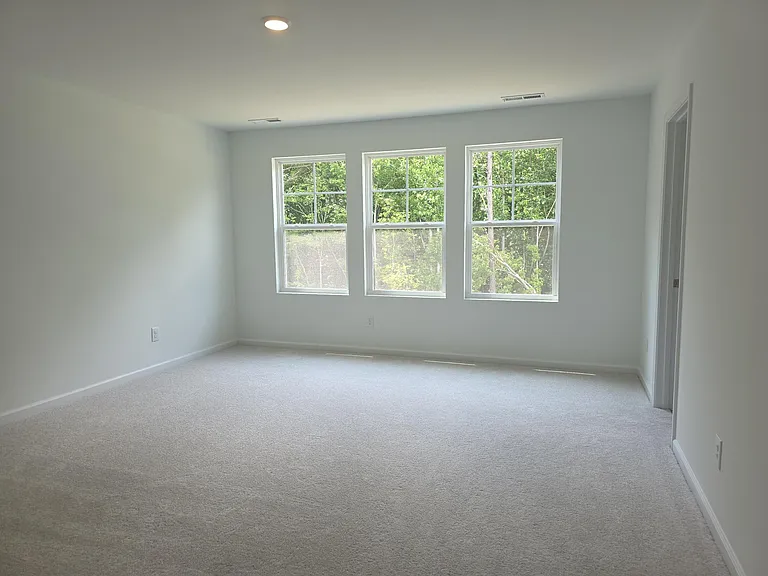 217 Caitlyn Pkwy — Photo 11