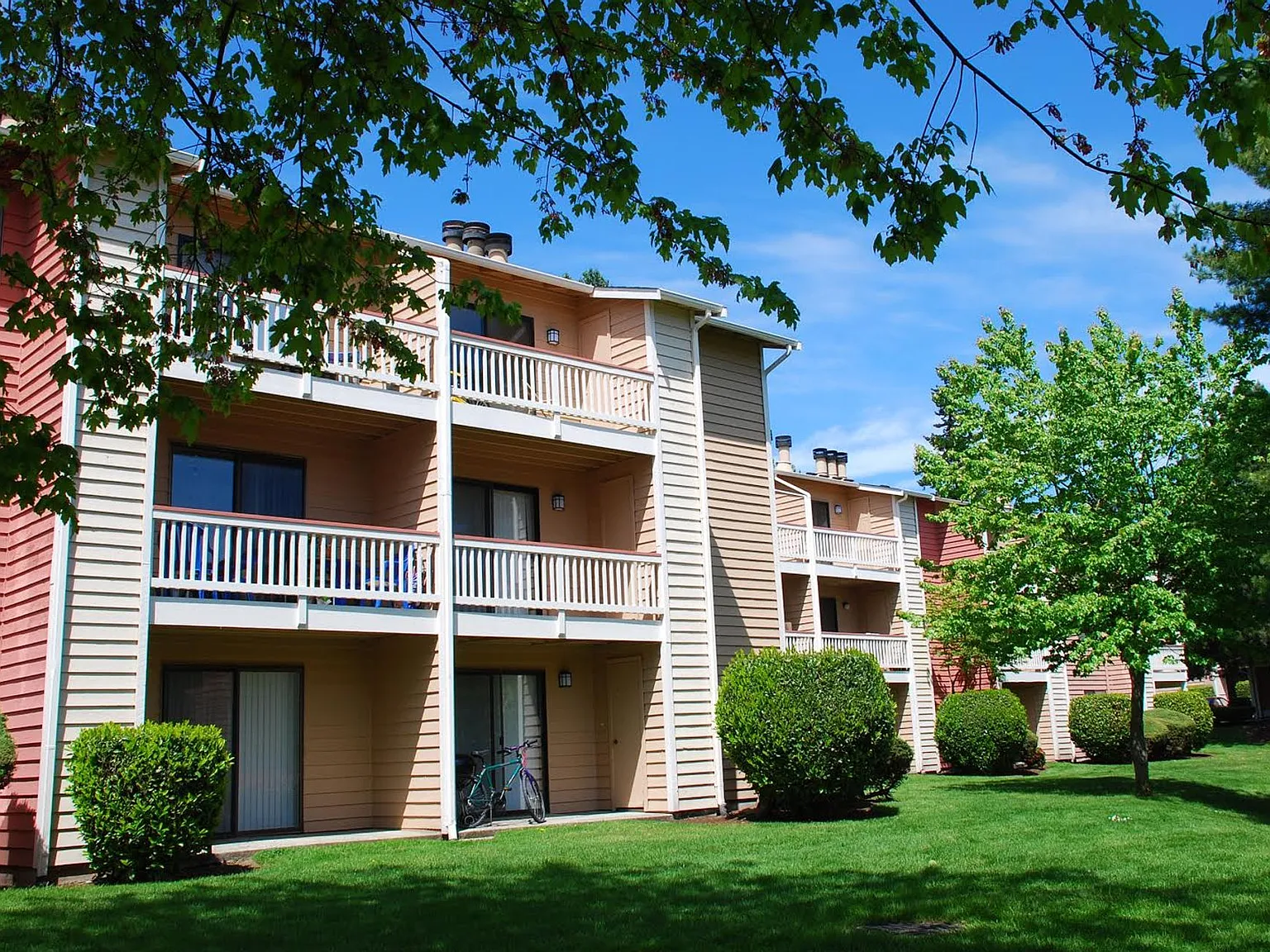 Crystal Springs Apartments — Photo 1