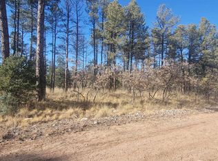 9 Devonshire Ave, Timberon, NM 88350