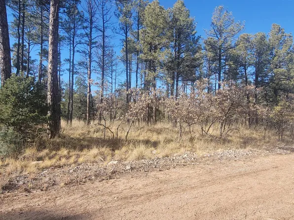 9 Devonshire Ave, Timberon, NM 88350