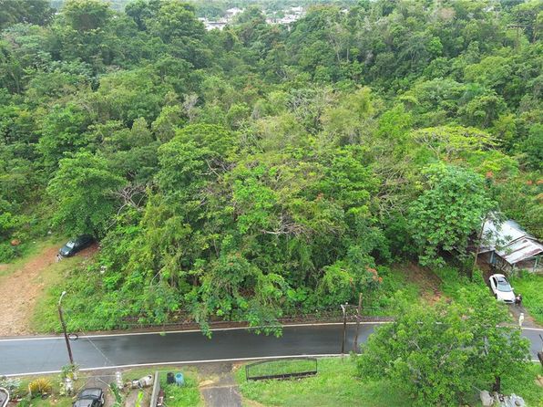 State Highway 658, Arecibo, PR 00612