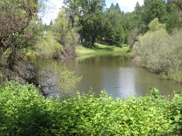 22001 Meadowbrook Dr, Pine Grove, CA 95665