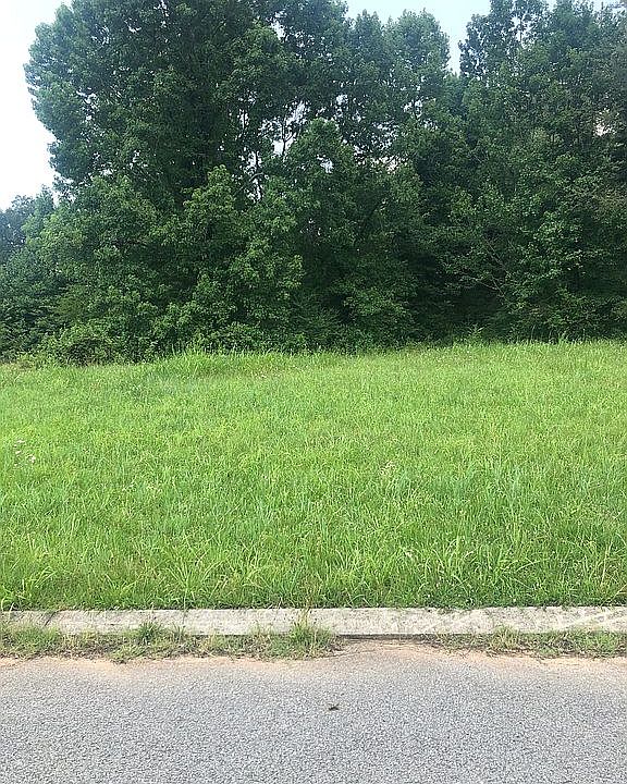 Street view of lot