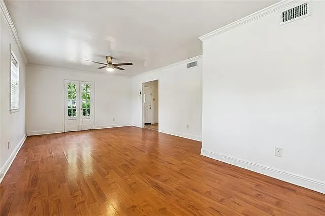 501 Hillary St — Photo 4