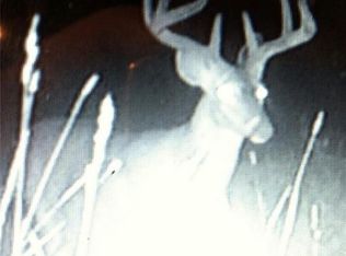 Hoagland Blackstub Rd, Cortland, OH 44410