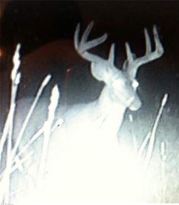 Hoagland Blackstub Rd, Cortland, OH, 44410