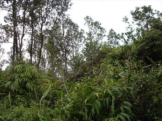 2nd image of Road 3 Hopue Lot 3277