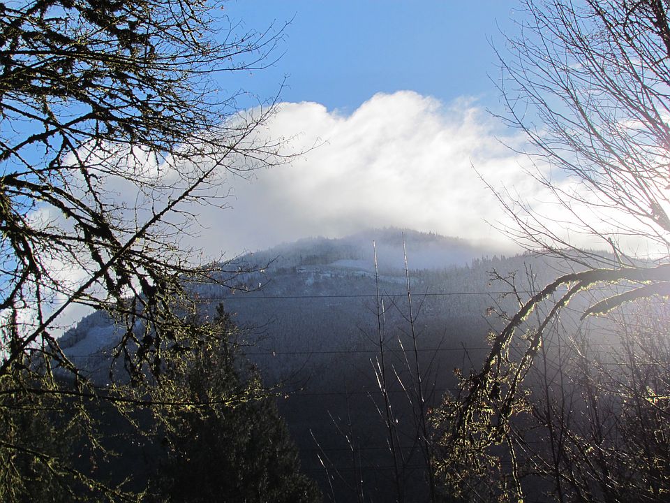 1st image of 10211 Old Mount Baker Hwy