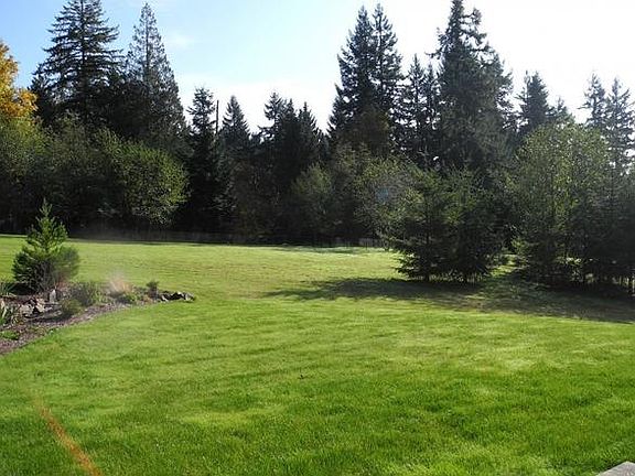 All fenced-in backyard