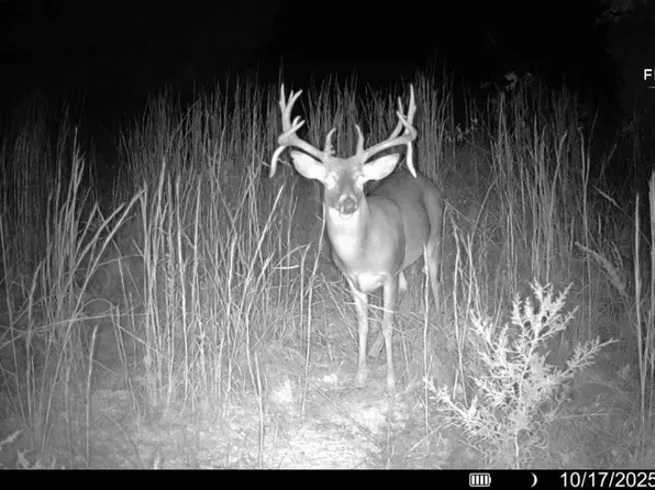 29159 S 561st West Ave, Stroud, OK 74079