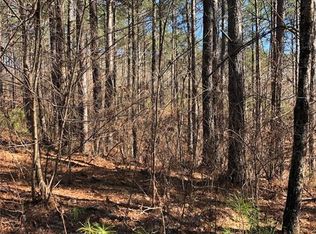 105 Northington Ct, Sunset, SC 29685