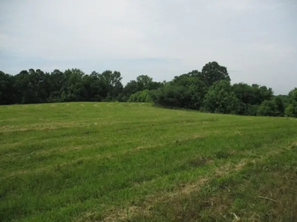 386 Belotes Bend Rd Lot 1, Castalian Springs, TN 37031