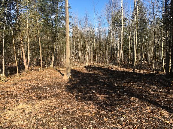 Cleared section