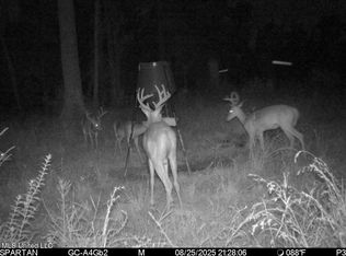 38774 S McCarrol Rd, Amite, LA 70422