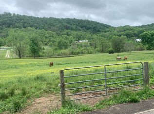 Hinchey Hollow Rd, New Market, TN 37820