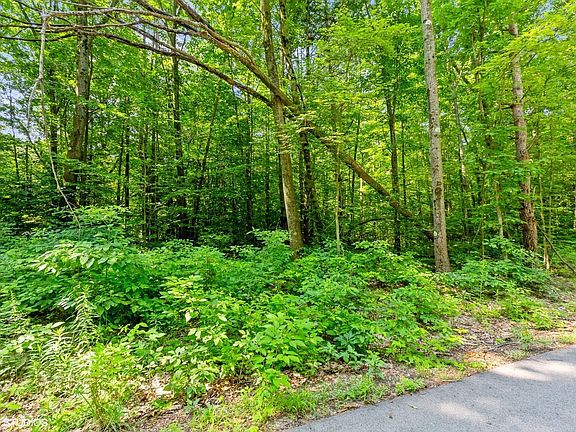 3rd image of 5824 Timber Bluff Trl