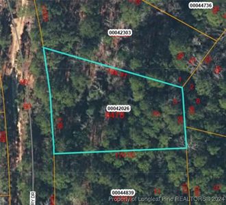 Wild Cherry Dr, Vass, NC, 28394