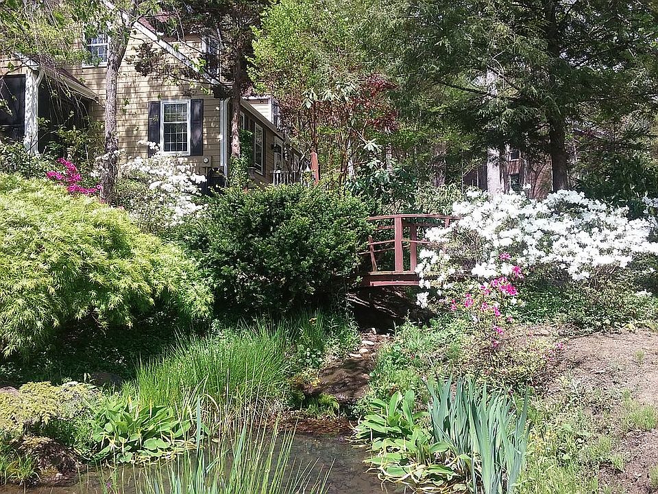 Park like front yard 