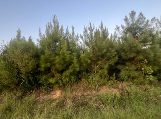 Leming Rd, Braxton, MS 39044