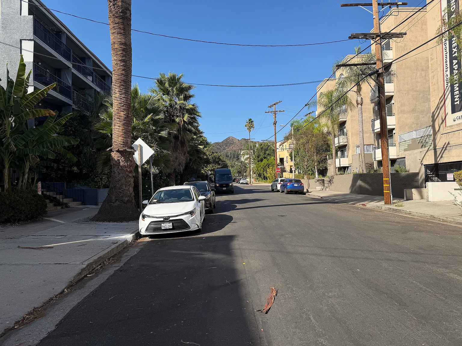 N Sierra Bonita Ave, West Hollywood — Photo 4